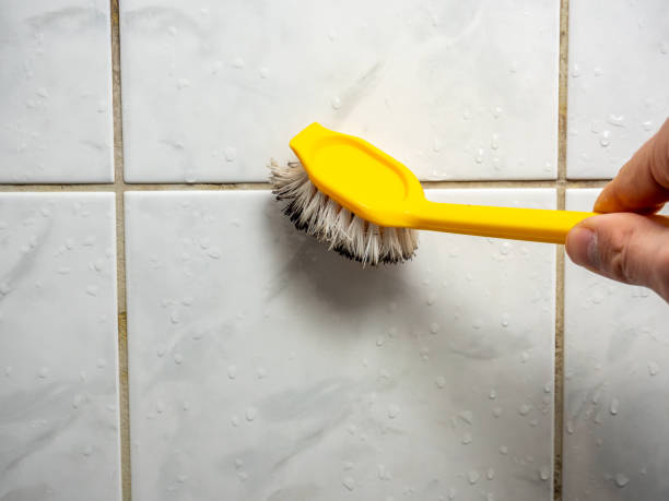 Best Fast Mold Removal  in Mccaysville, GA