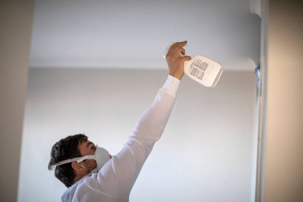 Best Attic Mold Removal  in Mccaysville, GA