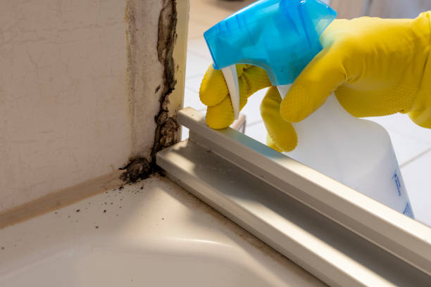 Best Crawl Space Mold Removal  in Mccaysville, GA