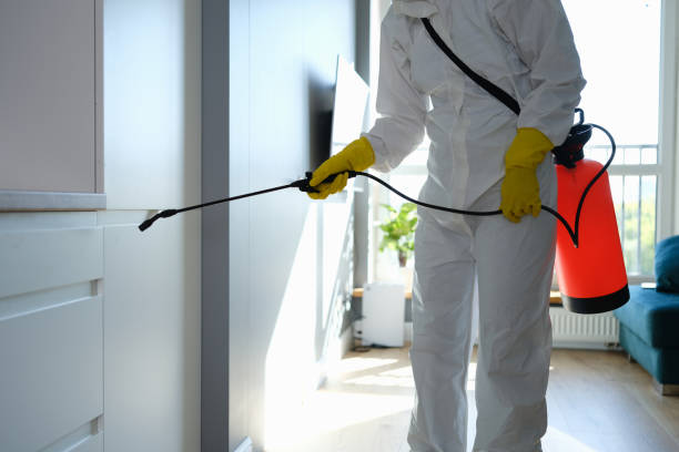 Attic Mold Removal in Mccaysville, GA