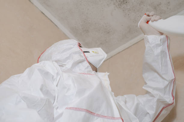 Crawl Space Mold Removal in Mccaysville, GA