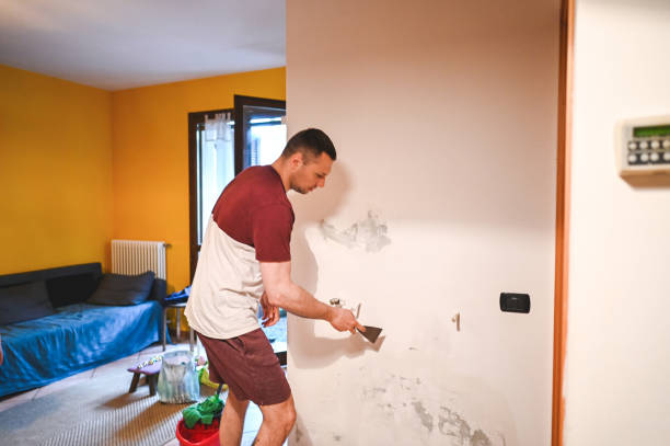 Best Emergency Mold Removal  in Mccaysville, GA
